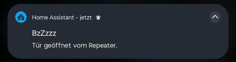 Notification titled BzZzzz with the text Tür geöffnet vom Repeater.